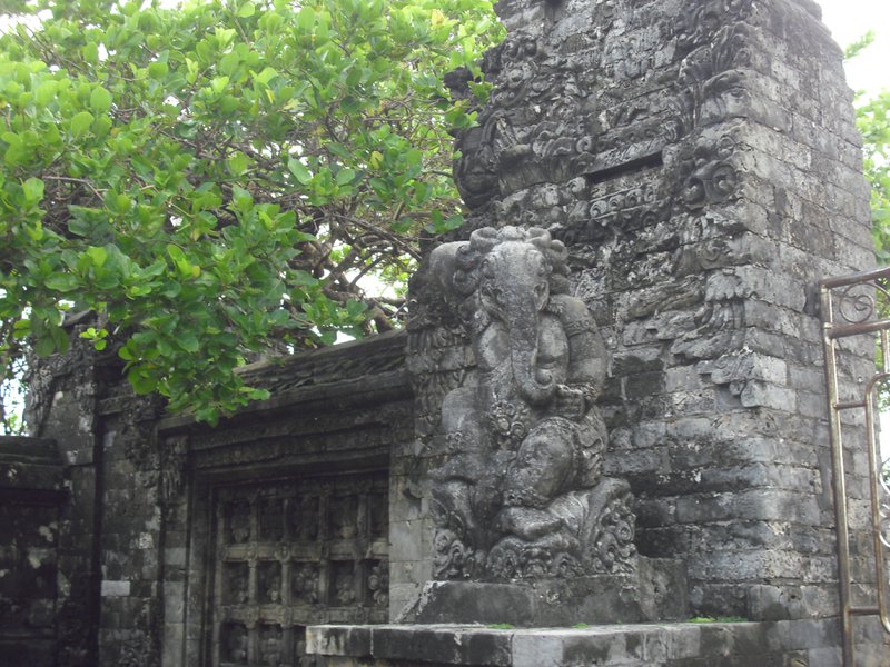 Image CIMG6520.JPG