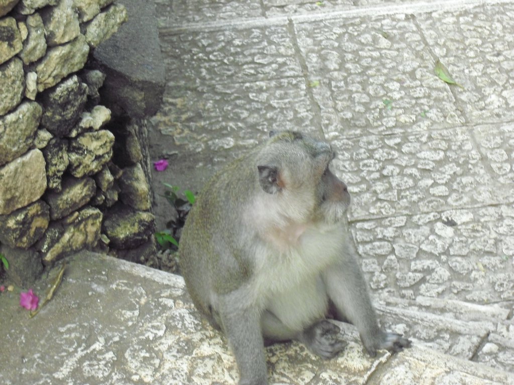 Image CIMG6528.JPG