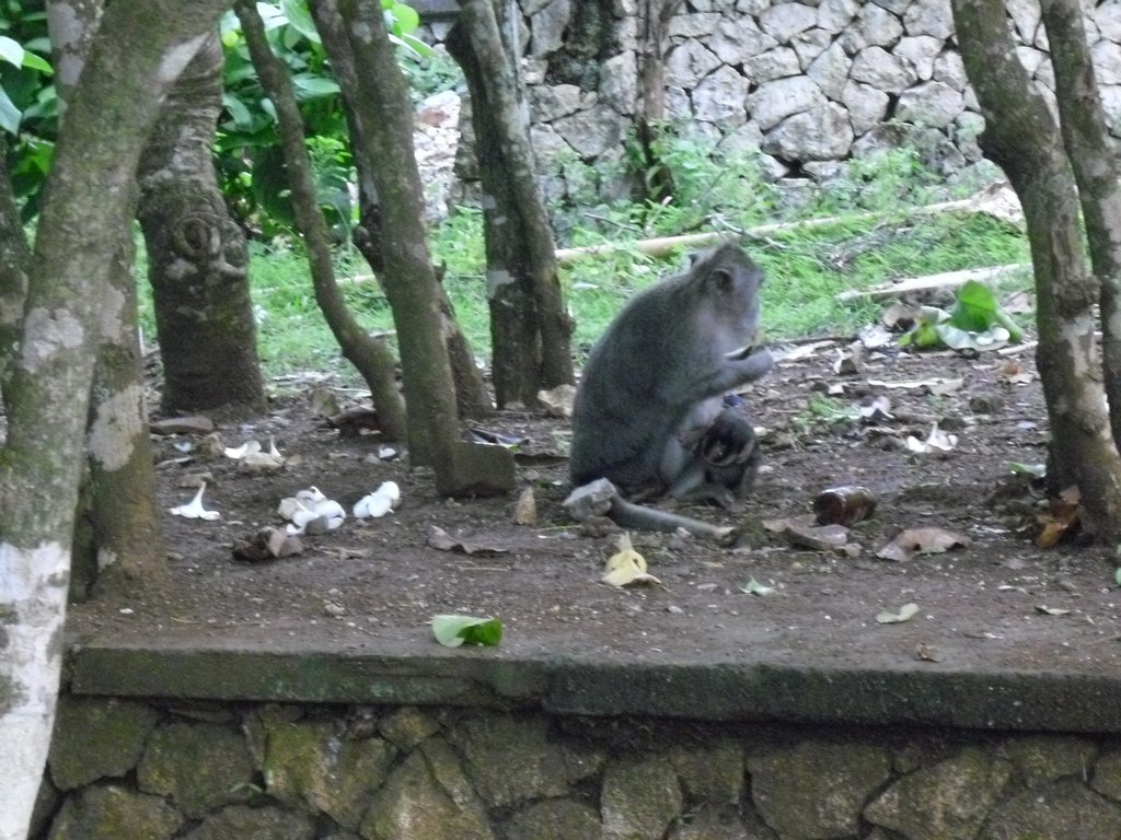 Image CIMG6532.JPG