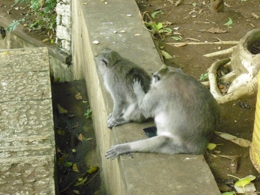 Image CIMG6534.JPG