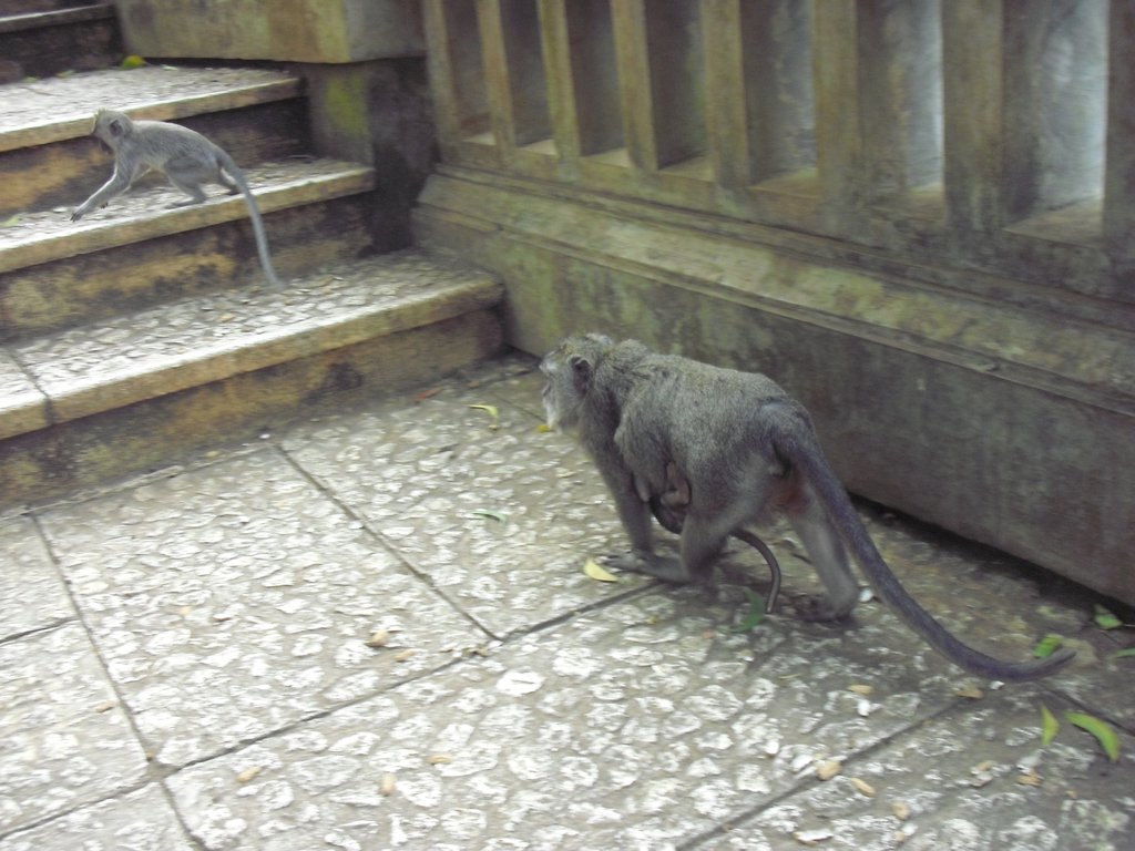 Image CIMG6535.JPG