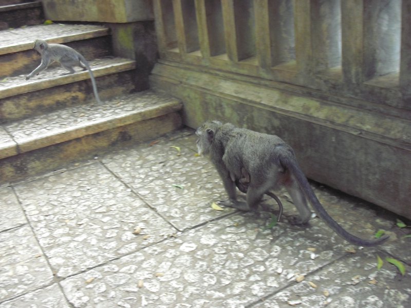 Image CIMG6535.JPG