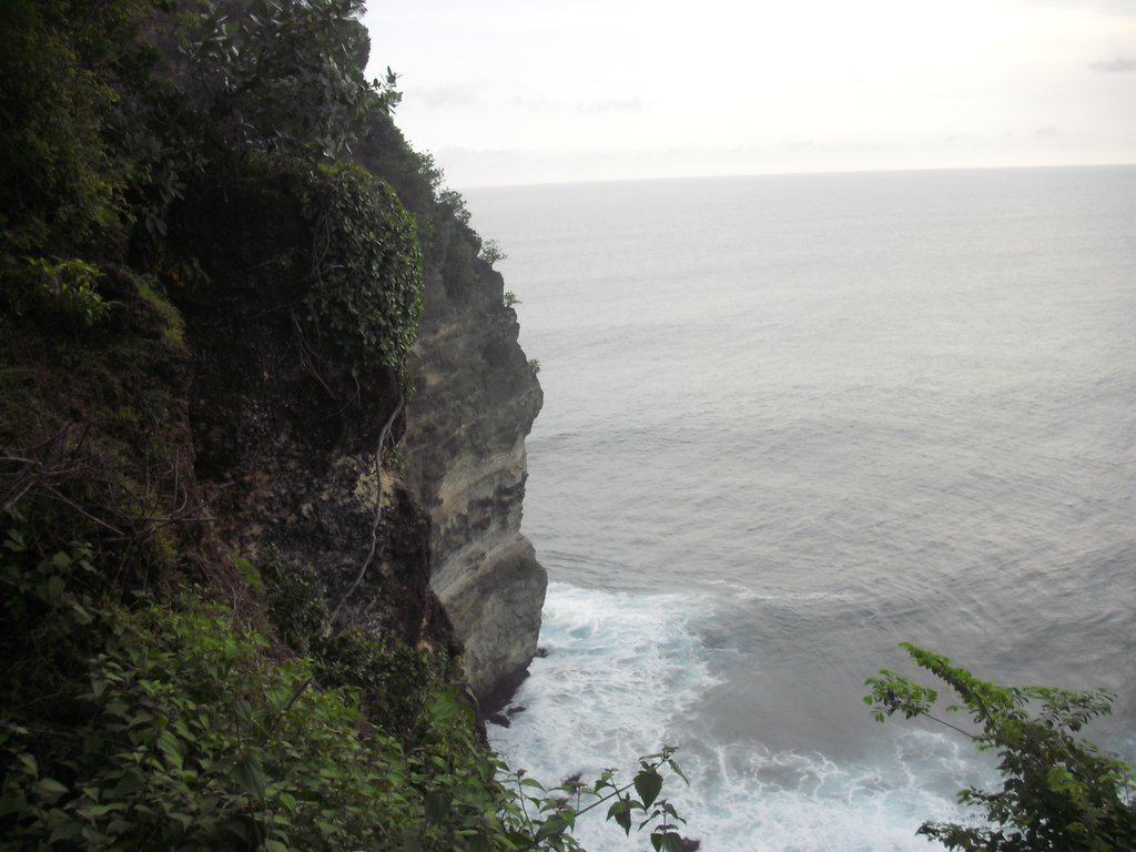 Image CIMG6537.JPG