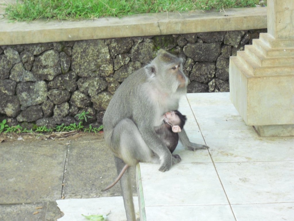 Image CIMG6538.JPG
