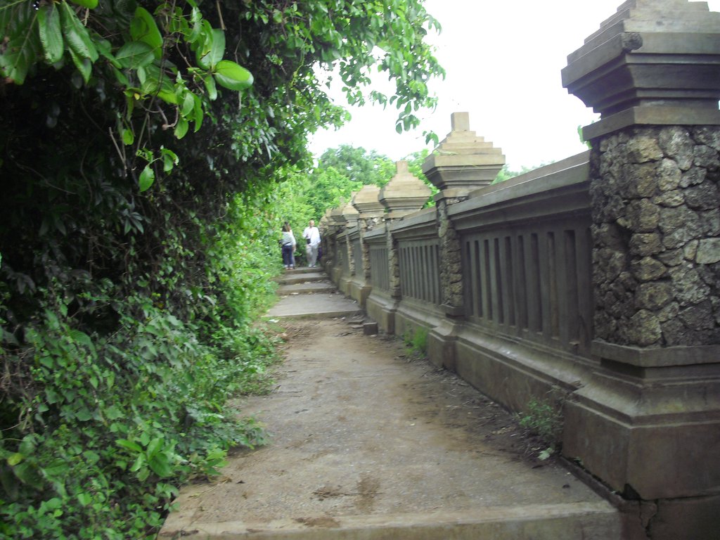 Image CIMG6541.JPG