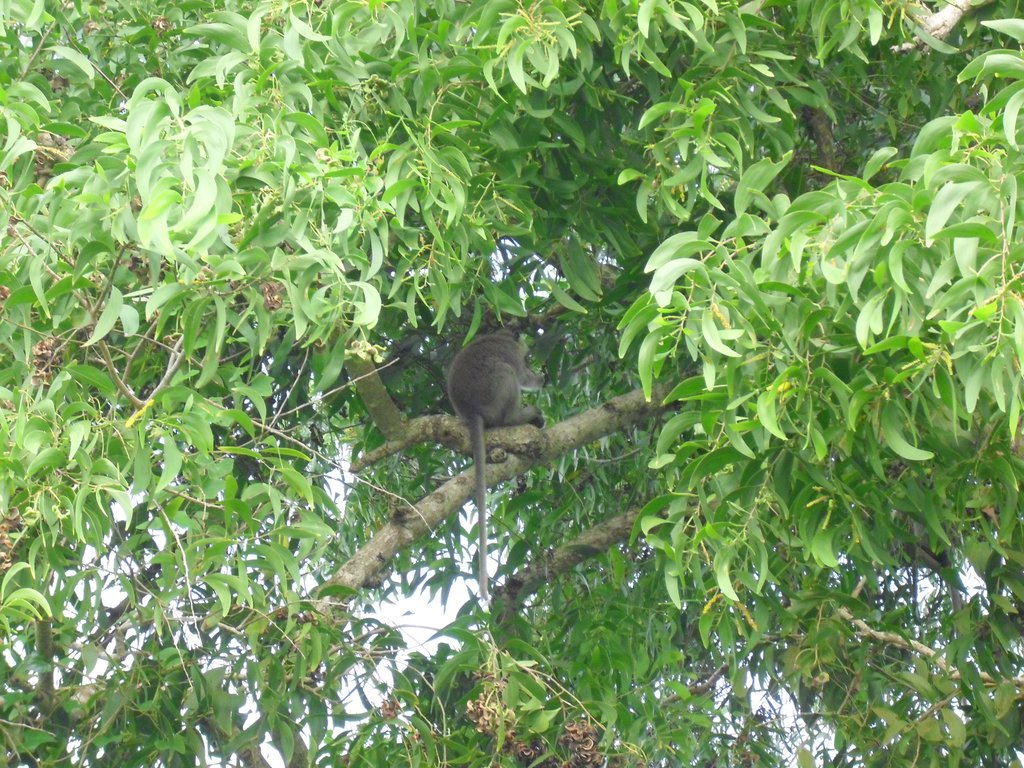 Image CIMG6552.JPG