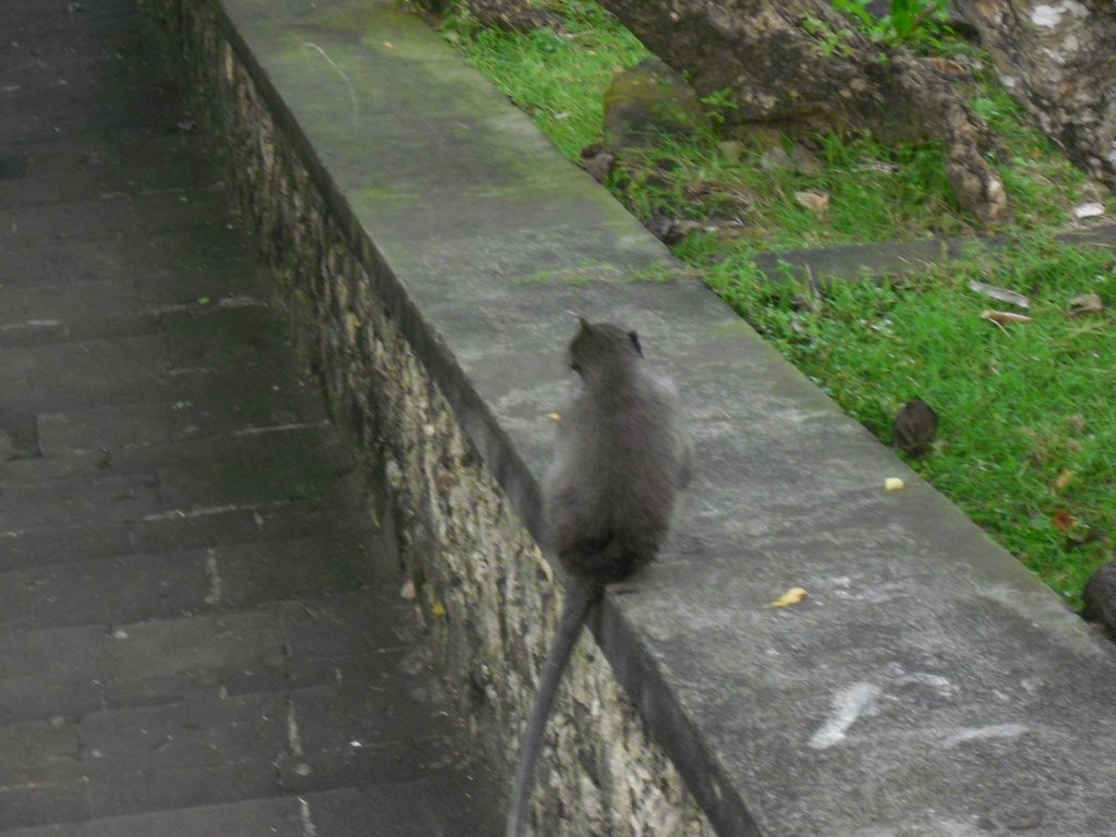 Image CIMG6555.JPG