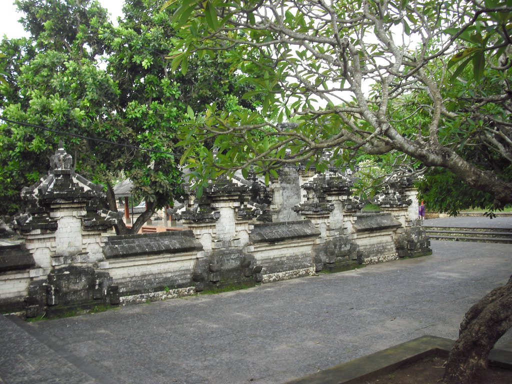 Image CIMG6559.JPG