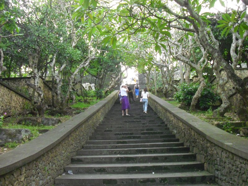 Image CIMG6560.JPG