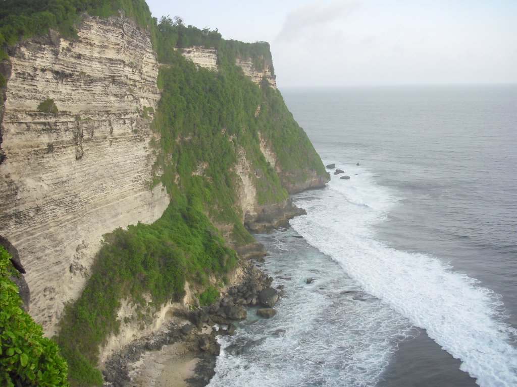 Image CIMG6568.JPG