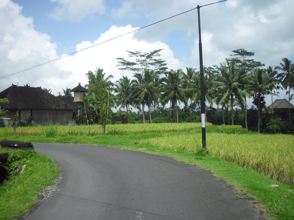 Image CIMG6581.JPG