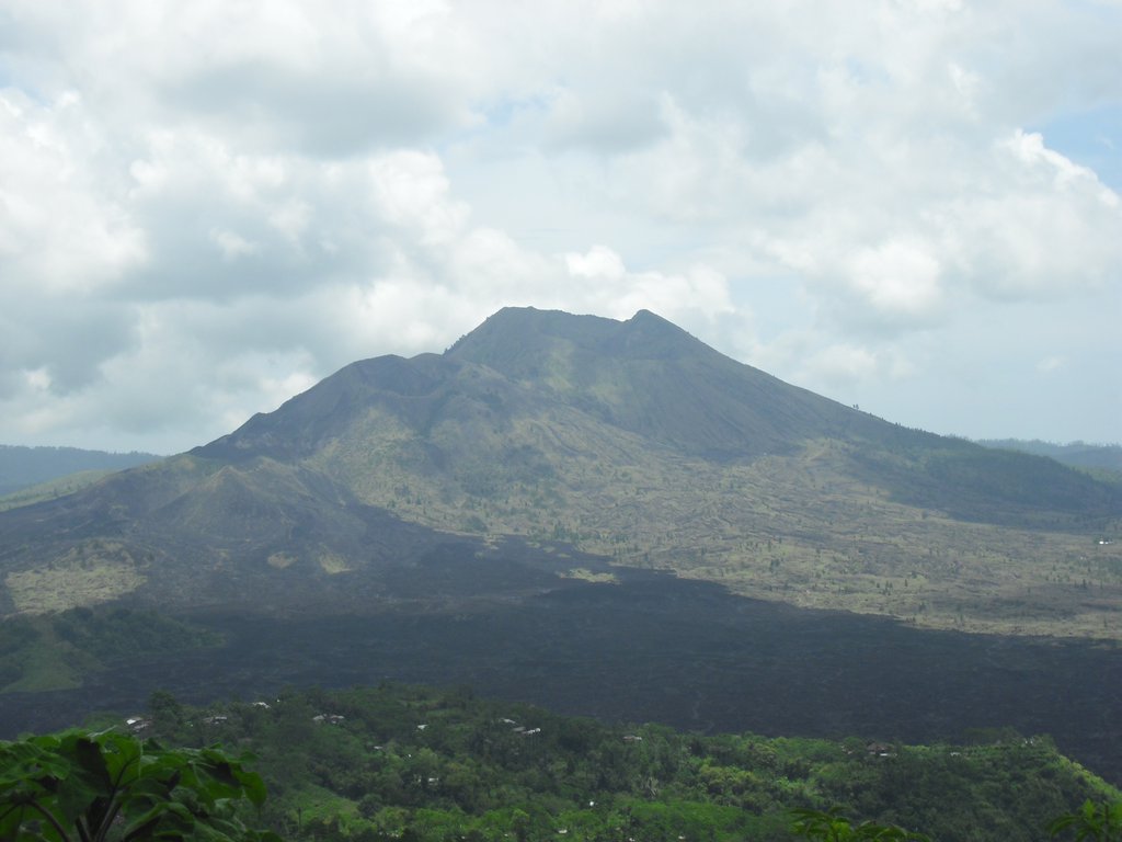 Image CIMG6593.JPG