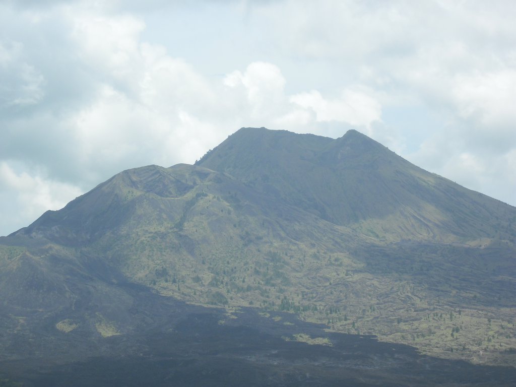 Image CIMG6597.JPG