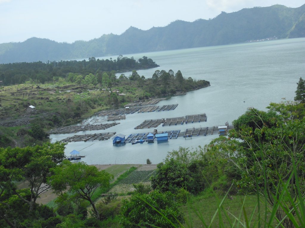 Image CIMG6605.JPG