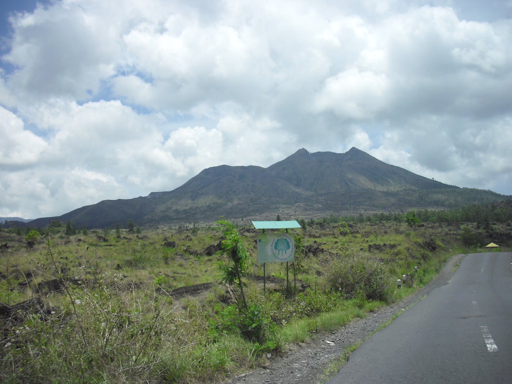 Image CIMG6607.JPG