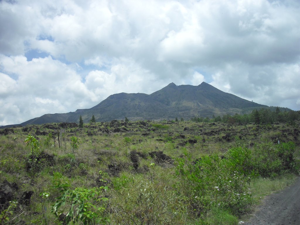 Image CIMG6608.JPG