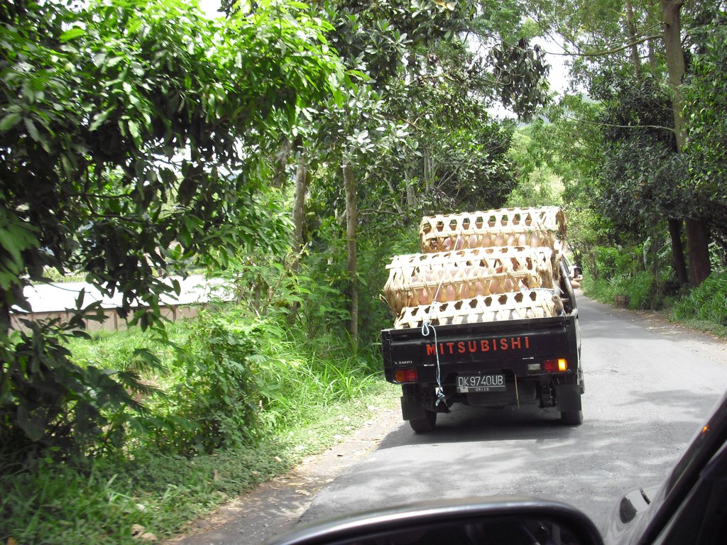 Image CIMG6620.JPG