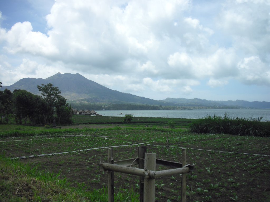 Image CIMG6623.JPG