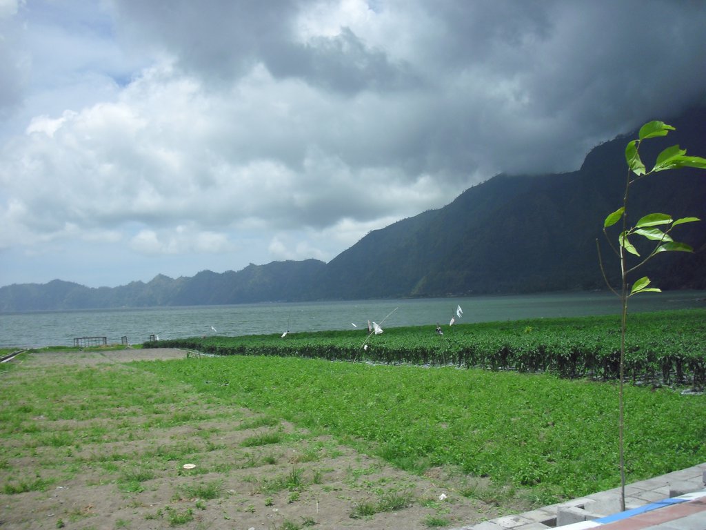 Image CIMG6626.JPG
