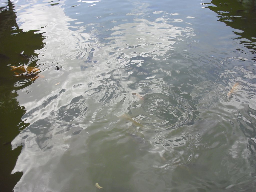 Image CIMG6630.JPG