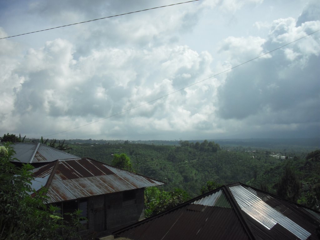 Image CIMG6638.JPG