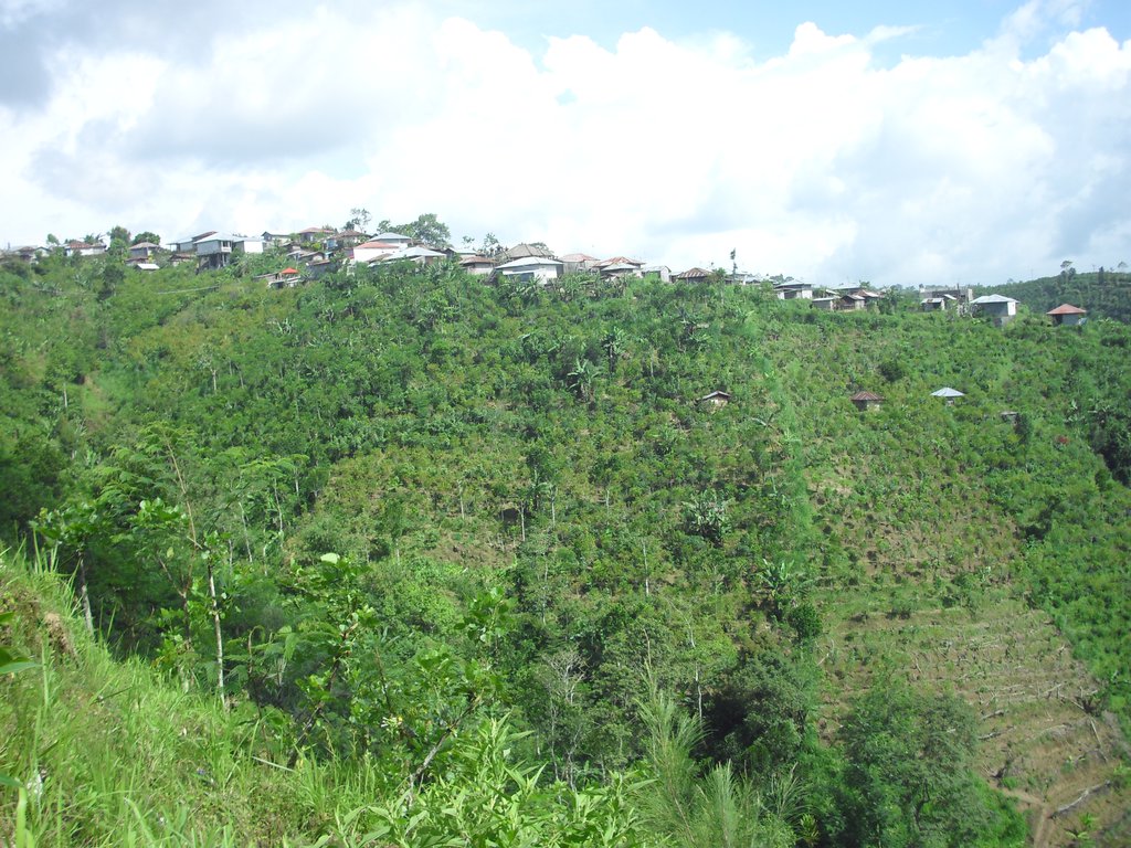 Image CIMG6641.JPG