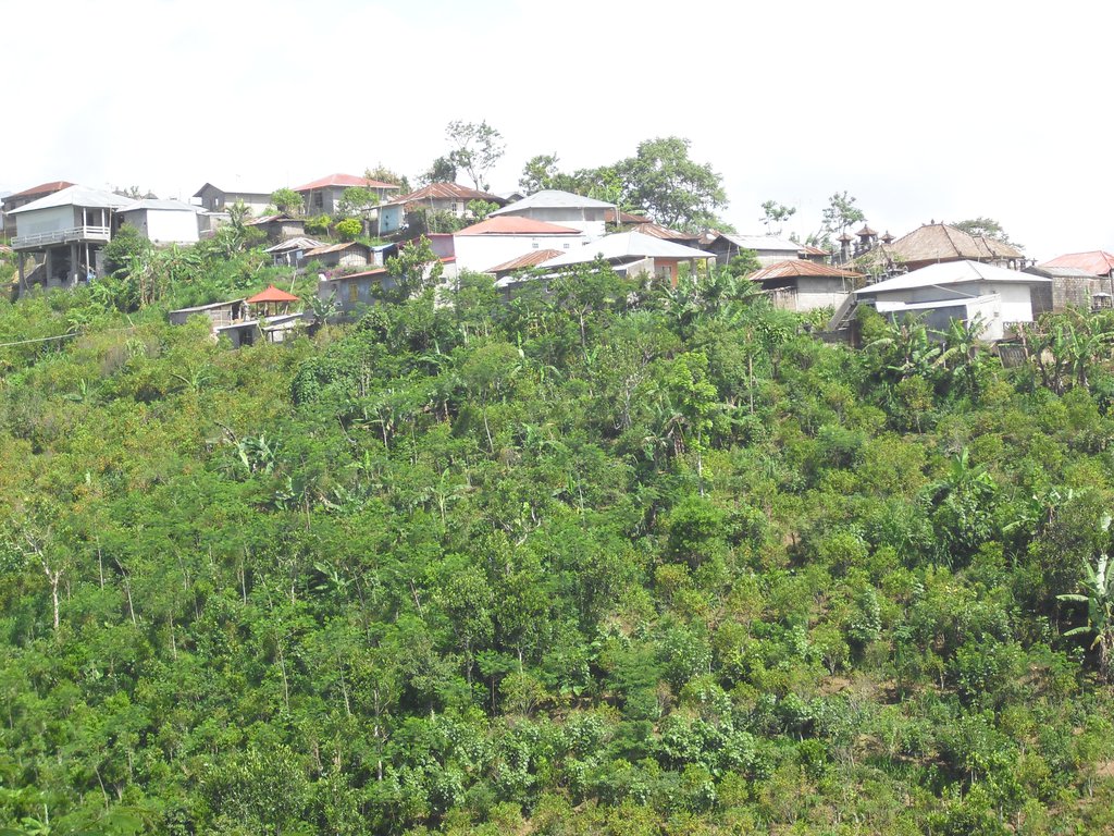 Image CIMG6644.JPG