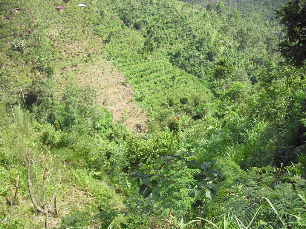 Image CIMG6645.JPG