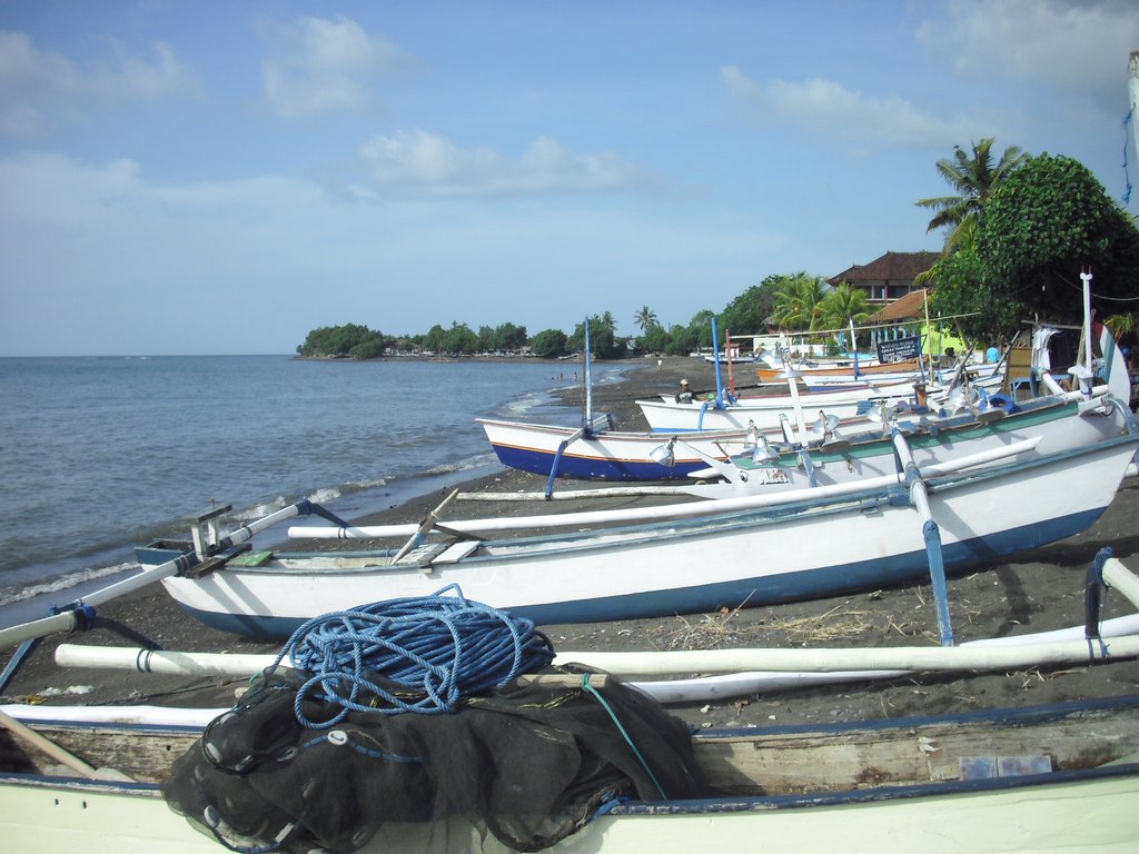 Image CIMG6646.JPG