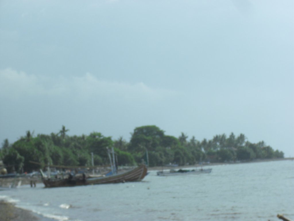 Image CIMG6651.JPG