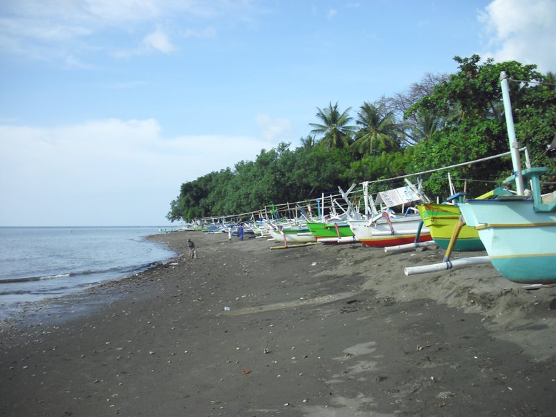 Image CIMG6654.JPG