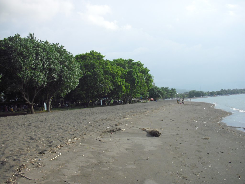 Image CIMG6657.JPG