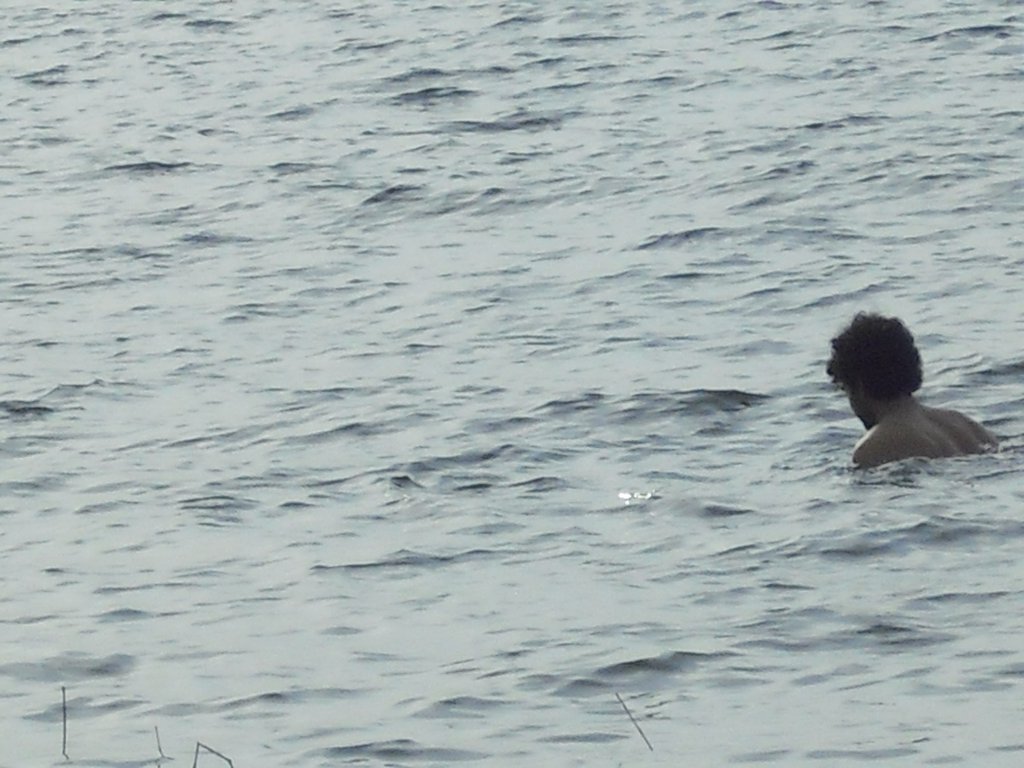 Image CIMG6660.JPG