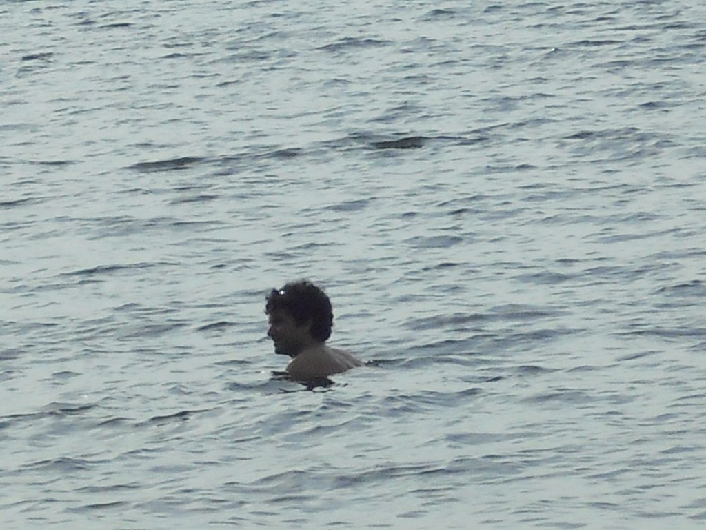 Image CIMG6661.JPG