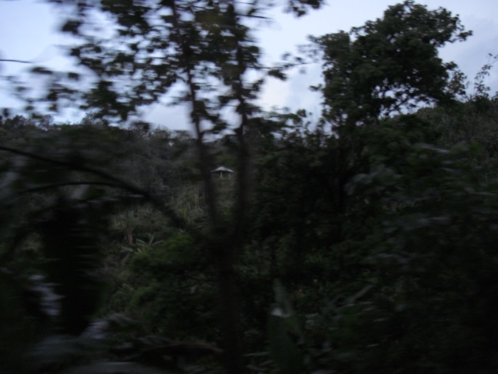 Image CIMG6662.JPG