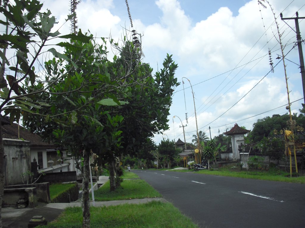 Image CIMG6679.JPG