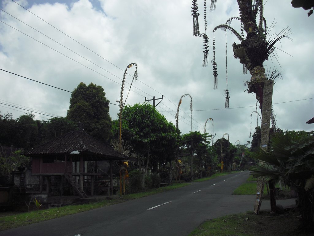 Image CIMG6680.JPG