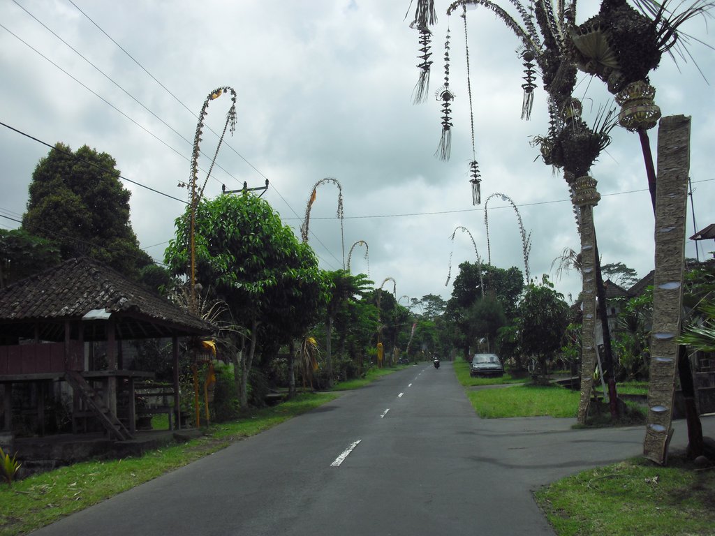 Image CIMG6681.JPG