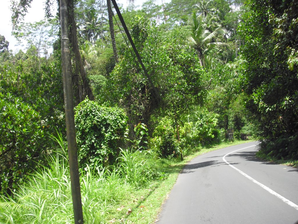 Image CIMG6683.JPG