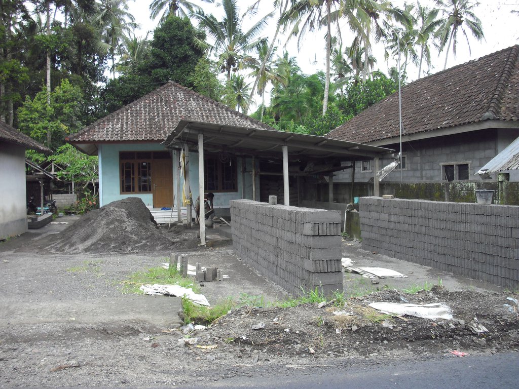 Image CIMG6686.JPG