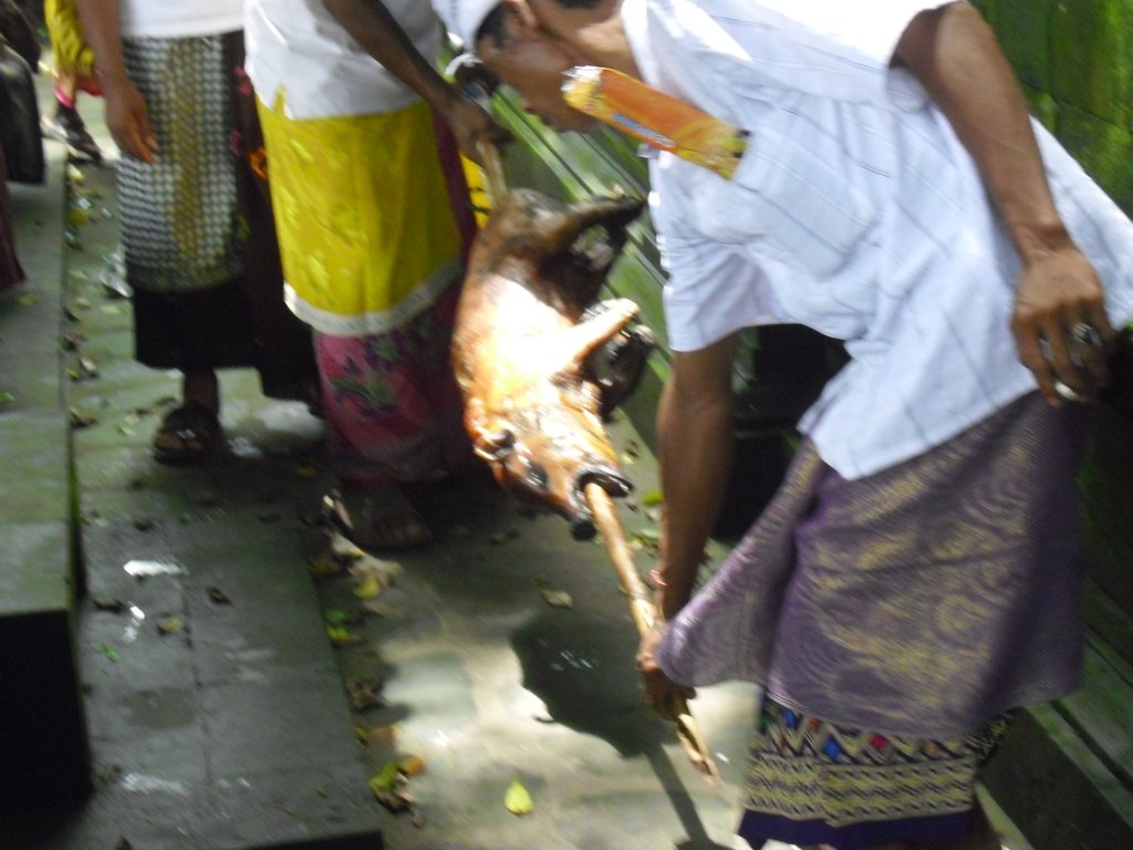 Image CIMG6695.JPG