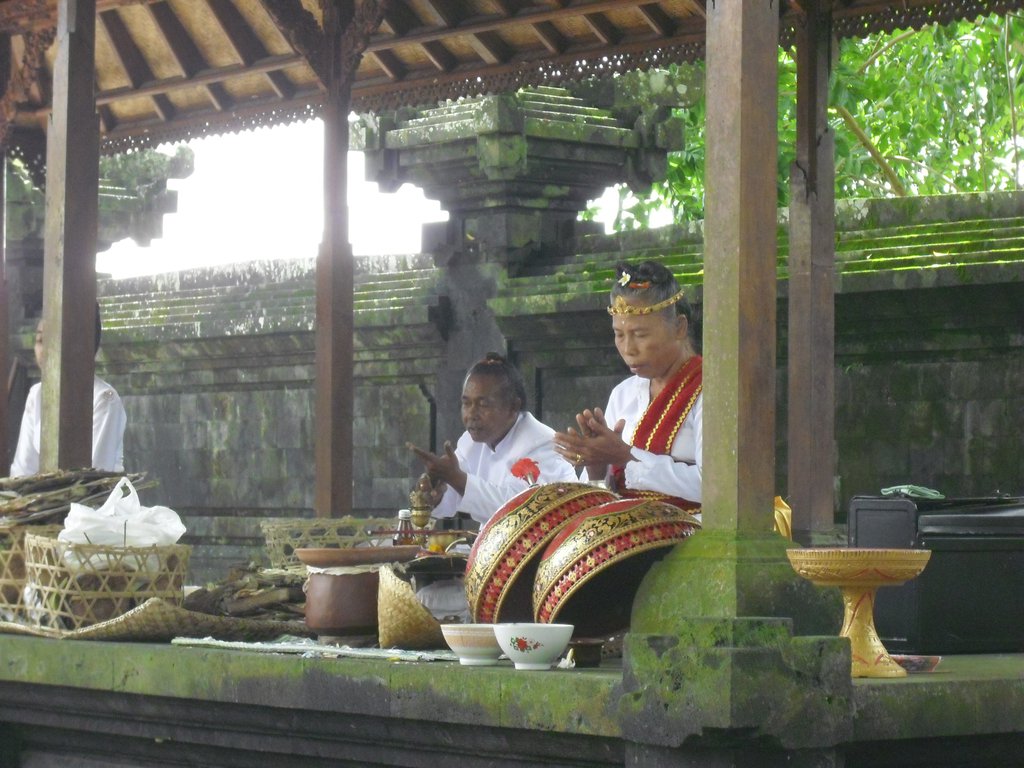 Image CIMG6702.JPG
