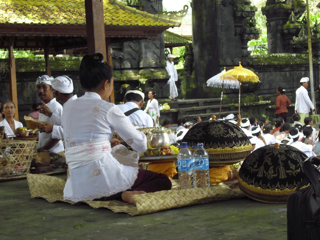 Image CIMG6709.JPG