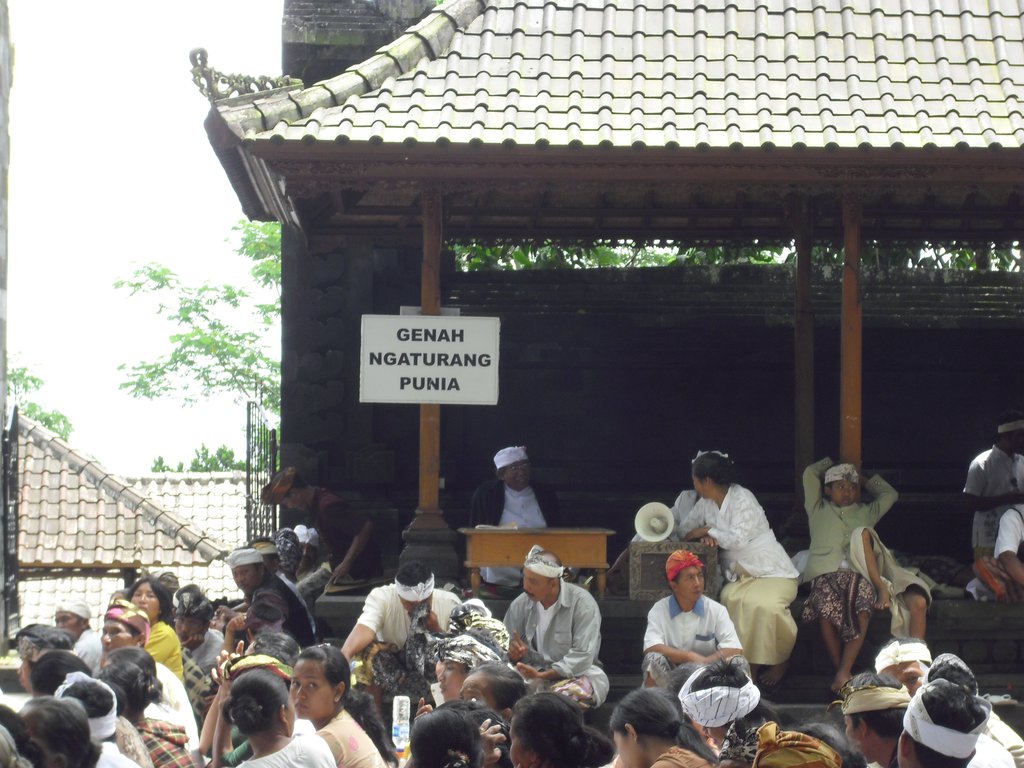 Image CIMG6718.JPG