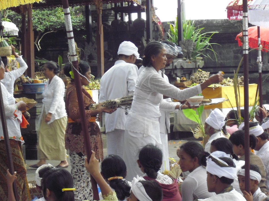 Image CIMG6719.JPG