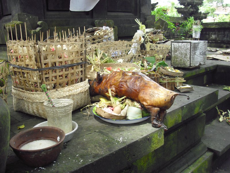 Image CIMG6727.JPG