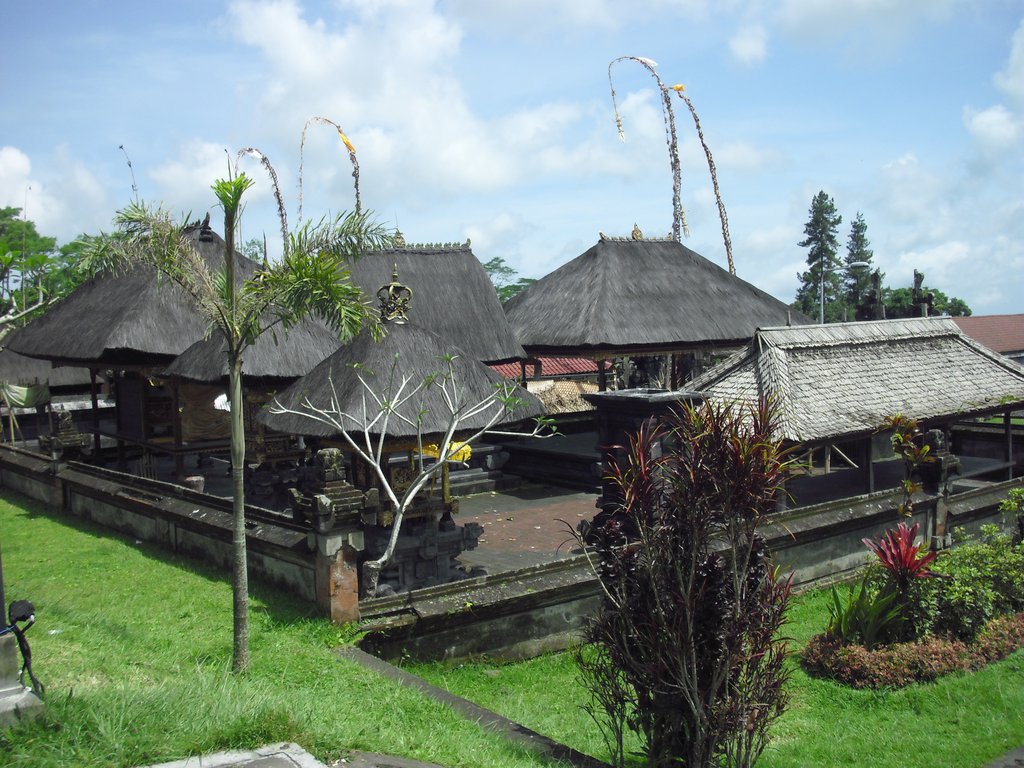 Image CIMG6729.JPG