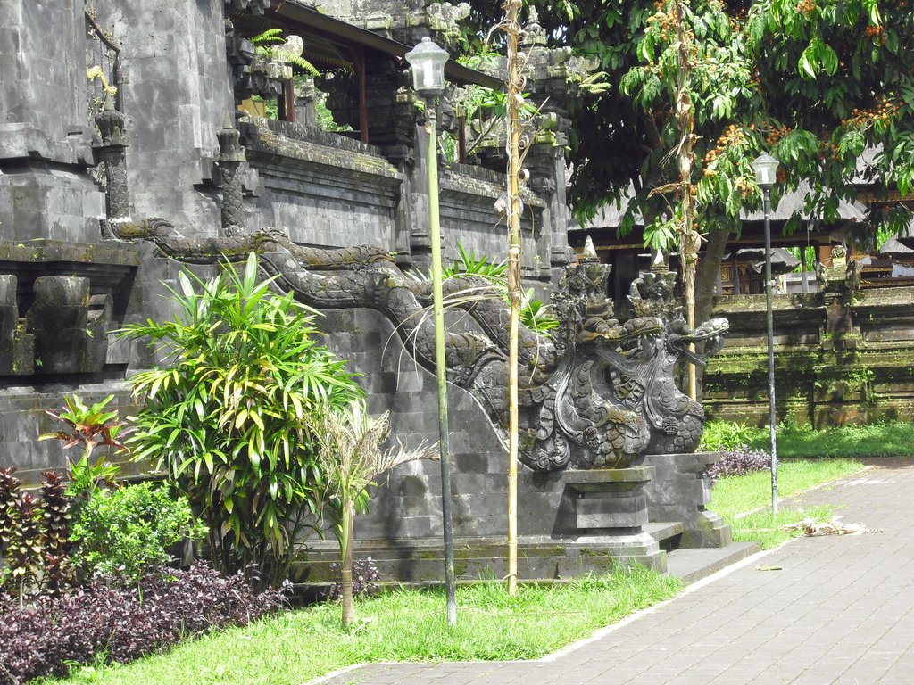 Image CIMG6735.JPG