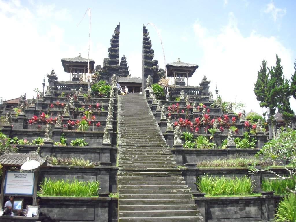 Image CIMG6739.JPG