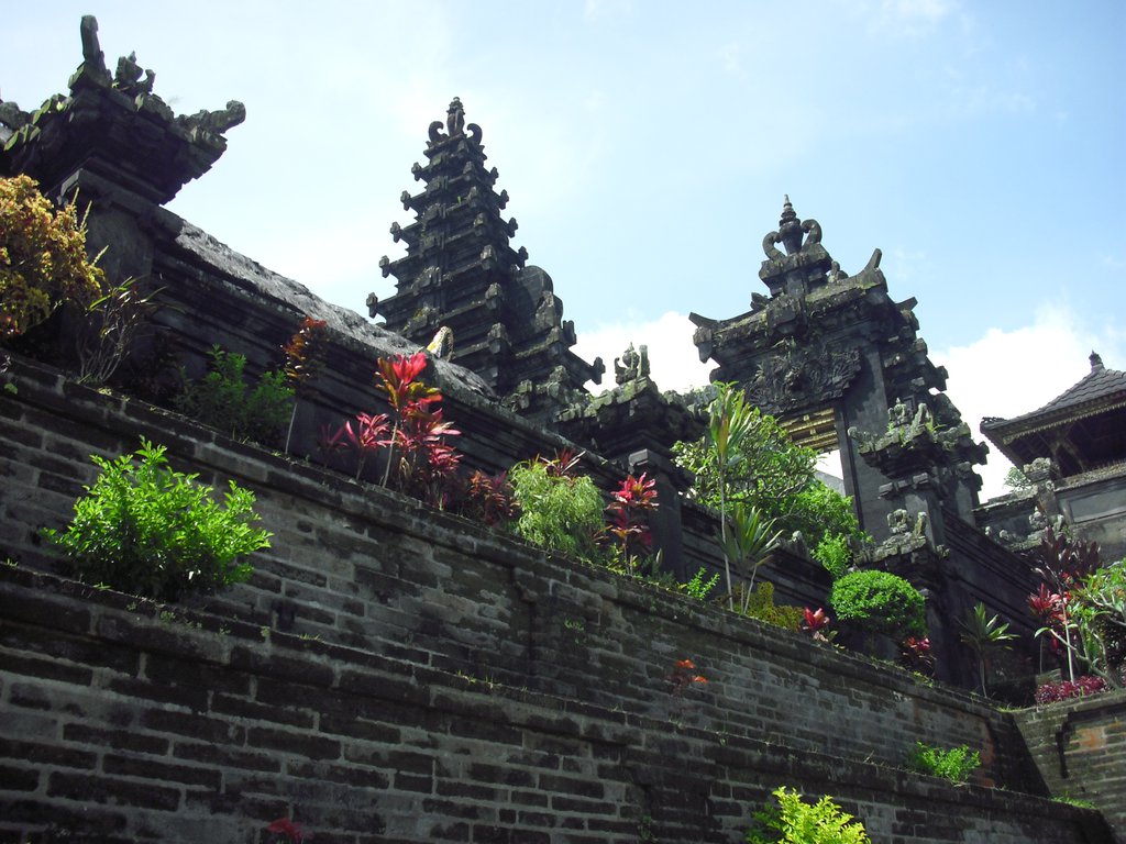 Image CIMG6747.JPG